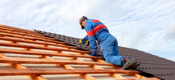 Best Storm Damage Roof Repair  in Elmwood Park, IL