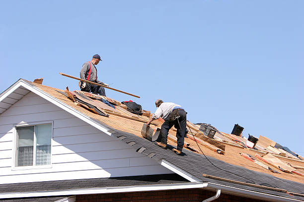 Best Rubber Roofing (EPDM, TPO)  in Elmwood Park, IL